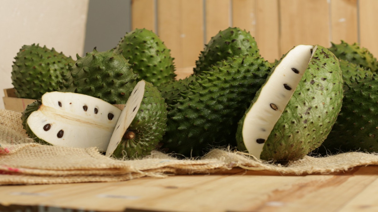 CREATOR: gd-jpeg v1.0 (using IJG JPEG v62), quality = 90